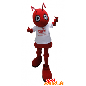 Mascote formiga vermelha com uma camisa branca - MASFR032263 - Ant Mascotes