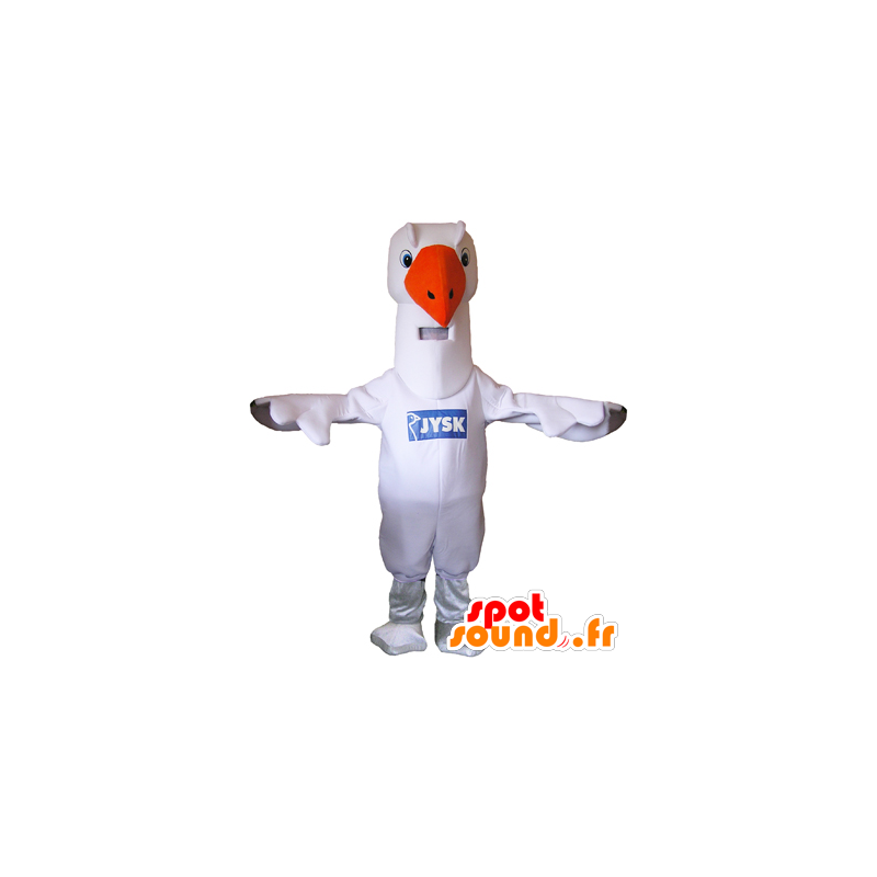 Mascot gaivota, albatrozes - MASFR032310 - Mascotes do oceano