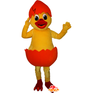 Mascote pintainho amarelo em uma casca de laranja - MASFR032351 - Mascote Galinhas - galos - Galinhas