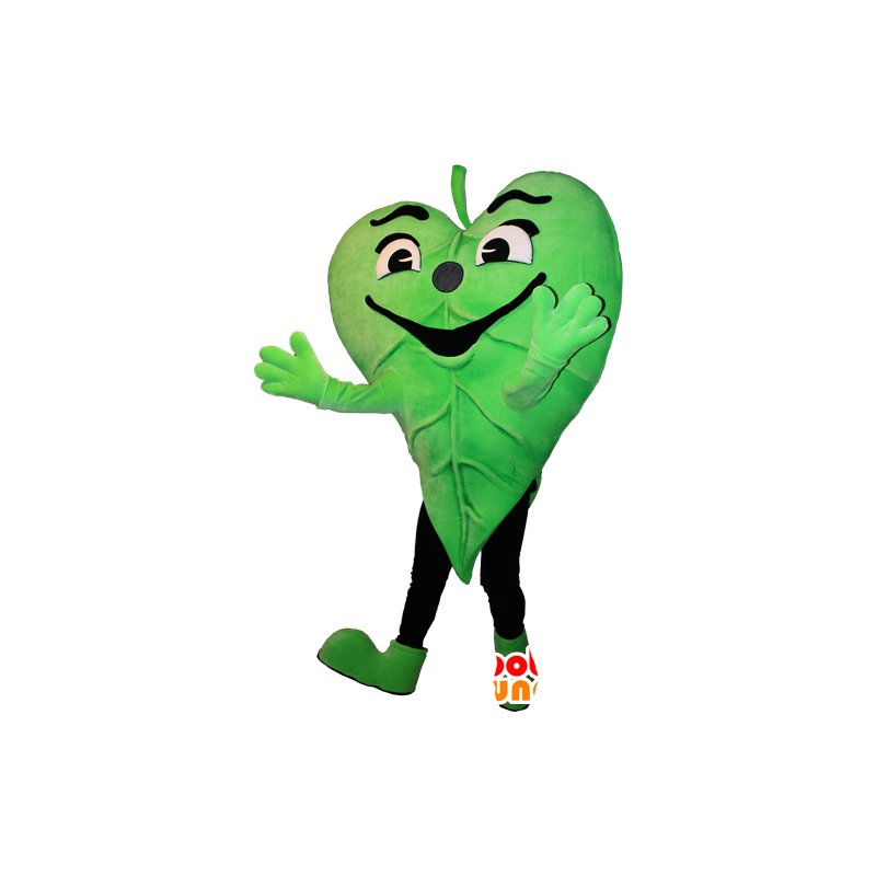 Mascotte de feuille verte. Mascotte de la nature - MASFR032378 - Mascottes de plantes