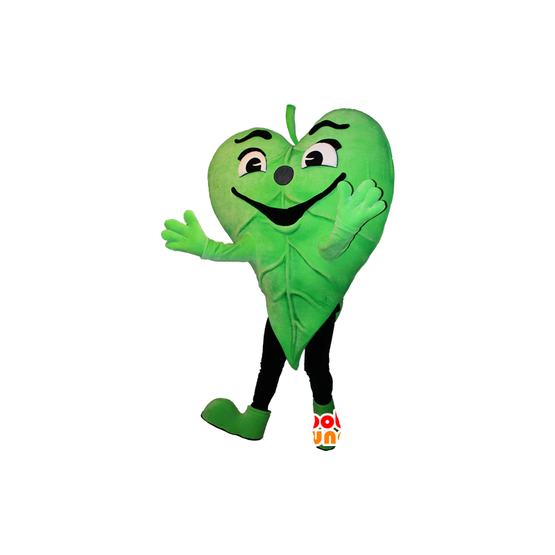 Mascot folha verde. Mascote da natureza - MASFR032378 - plantas mascotes