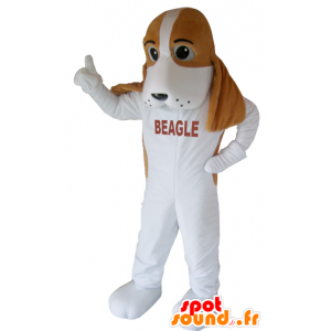Hundemaskot, brun og hvid beagle - Hund maskotter - MASFR032430 - SpotSound.fr