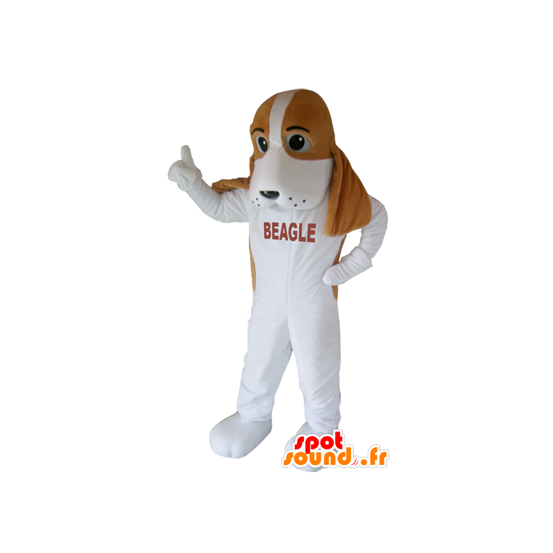 Dog mascot, brown and white beagle - MASFR032430 - Dog mascots