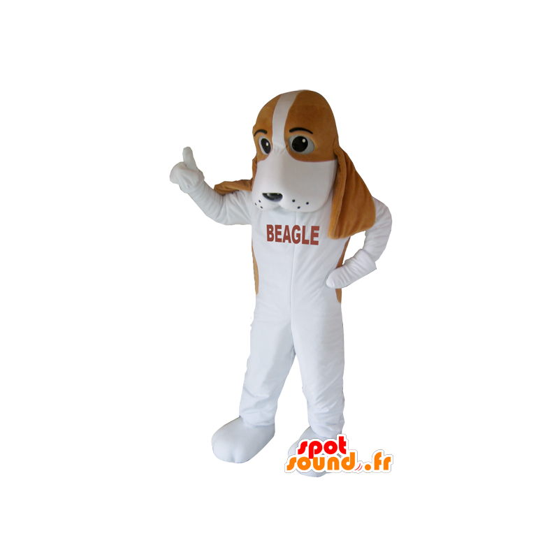 Mascotte hond, bruine en witte beagle - MASFR032430 - Dog Mascottes