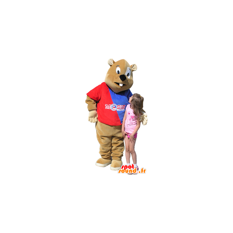 Mascota del castor marrón con suéter azul y rojo - MASFR032459 - Mascotas castores