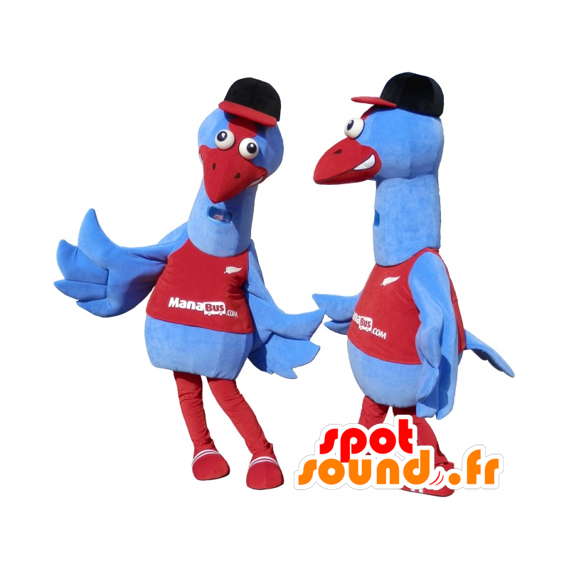 2 mascots of blue and red birds. 2 ostriches - MASFR032460 - Mascot of birds