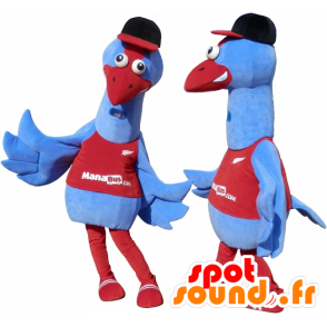 2 mascotte di uccelli blu e rosso. 2 struzzi - MASFR032460 - Mascotte degli uccelli