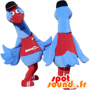 2 mascots of blue and red birds. 2 ostriches - MASFR032460 - Mascot of birds