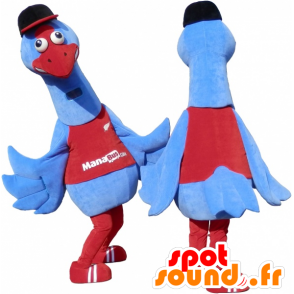 2 mascotte di uccelli blu e rosso. 2 struzzi - MASFR032460 - Mascotte degli uccelli