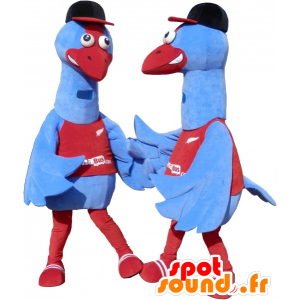 2 maskotteja sinistä ja punaista lintuja. 2 strutsit - MASFR032460 - maskotti lintuja
