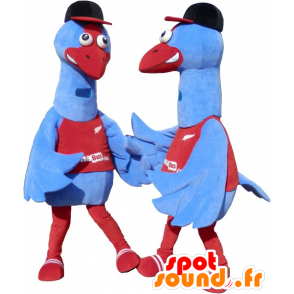 2 maskotter af blå og røde fugle. 2 strudse - Fuglemaskotter - MASFR032460 - SpotSound.fr