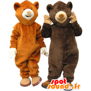 2 mascotas oso, un oso pardo y un oso pardo - MASFR032469 - Oso mascota