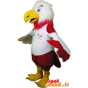 Mascot of red and white eagle in sportswear - MASFR032471 - Sports mascot