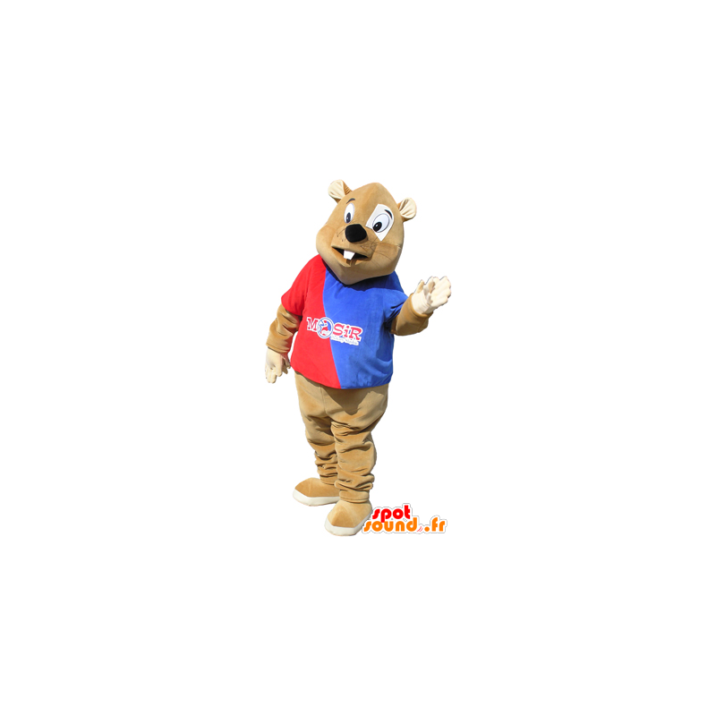 Brown beaver mascot outfit with a red and blue - MASFR032472 - Beaver mascots