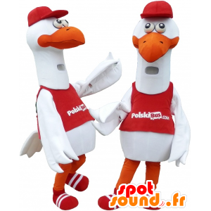 2 mascotes gaivota, cegonha, gaivota - MASFR032479 - Mascotes do oceano