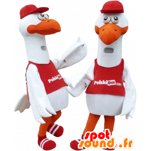 2 mascots Möwen, Störche, Möwen - MASFR032479 - Maskottchen des Ozeans