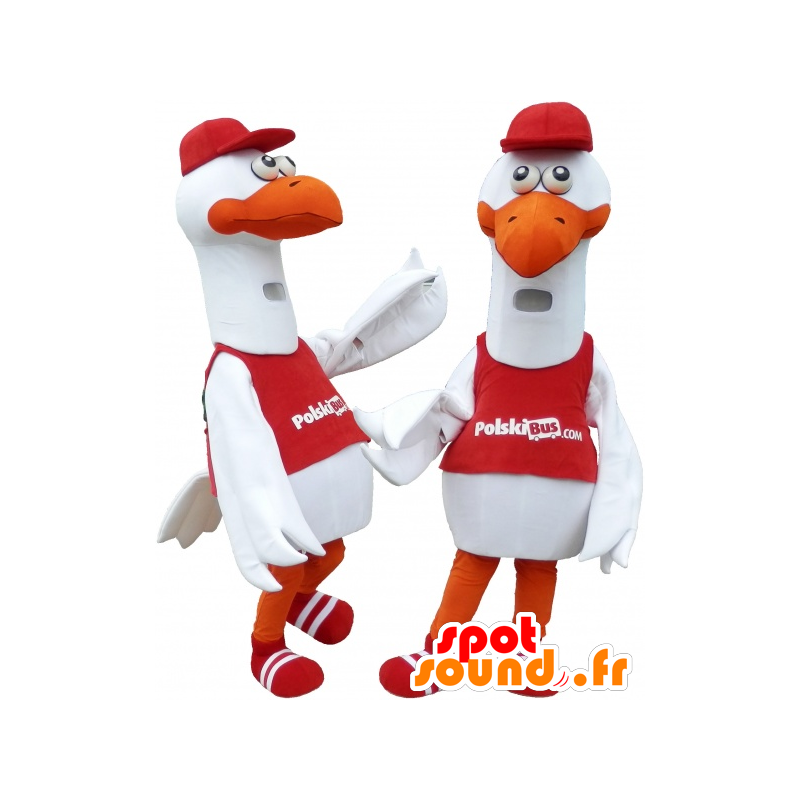 2 mascotes gaivota, cegonha, gaivota - MASFR032479 - Mascotes do oceano