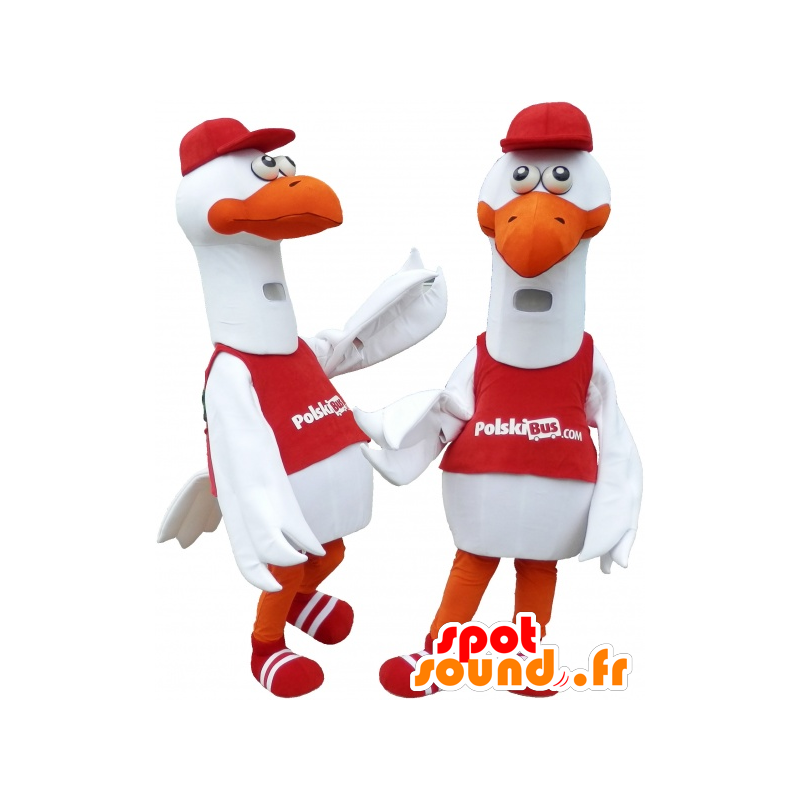 2 mascots Möwen, Störche, Möwen - MASFR032479 - Maskottchen des Ozeans