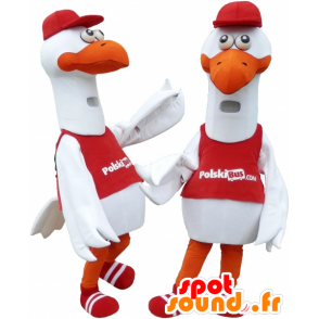 2 maskotter måger, storke, måge - Spotsound maskot