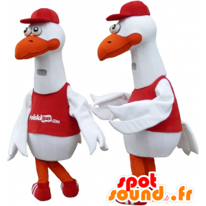 2 mascotes gaivota, cegonha, gaivota - MASFR032479 - Mascotes do oceano