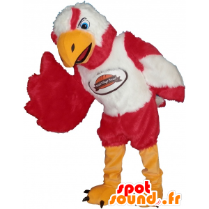 Mascot rode adelaar, wit en zeer zacht geel en intimiderend - MASFR032480 - Mascot vogels