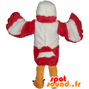 Mascot rode adelaar, wit en zeer zacht geel en intimiderend - MASFR032480 - Mascot vogels