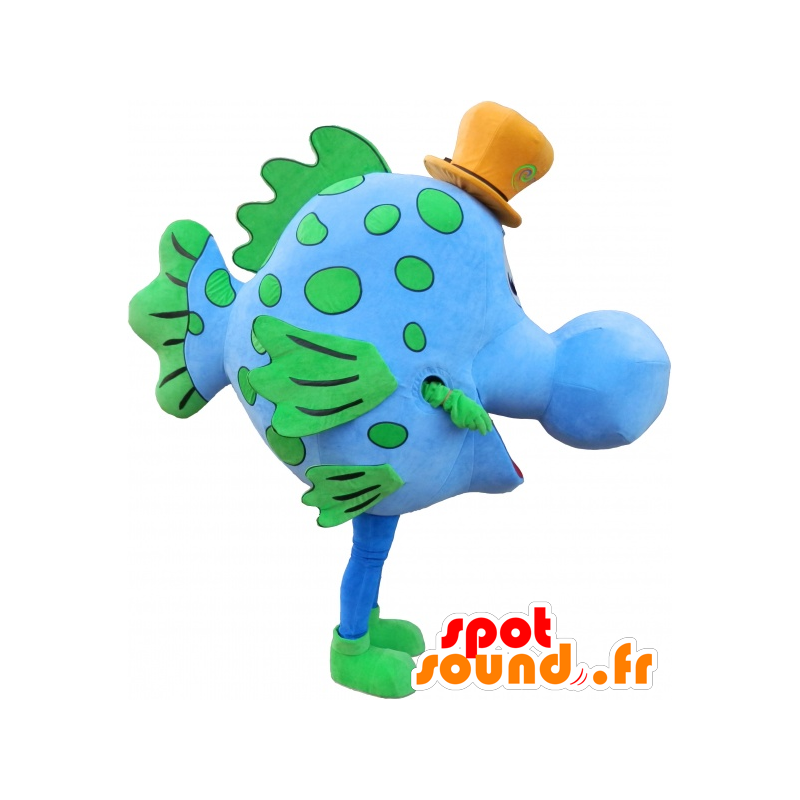 Azul y verde de la mascota de pescado con un sombrero - MASFR032483 - Peces mascotas