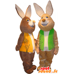 2 mascots brown and white rabbits with colored vests - MASFR032496 - Rabbit mascot