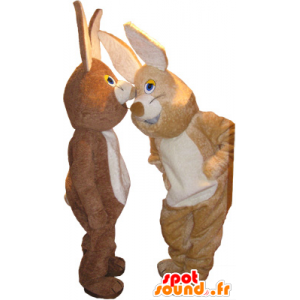 2 mascotas conejos, uno marrón y uno de color beige - MASFR032516 - Mascota de conejo