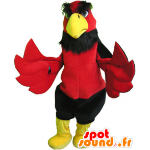 Mascot pássaro vermelho, preto e amarelo, ea gigante engraçado - MASFR032534 - aves mascote