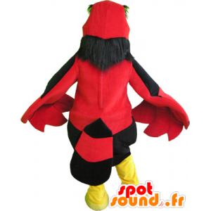 Mascot rode vogel, zwart en geel, en grappige reus - MASFR032534 - Mascot vogels