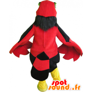 Mascot red bird, black and yellow, and funny giant - MASFR032534 - Mascot of birds