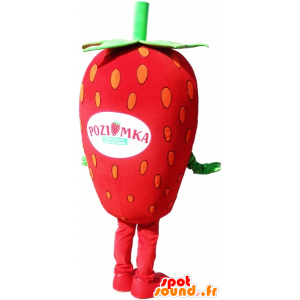 Mascotte fragola gigante, costume fragola - MASFR032582 - Mascotte di frutta