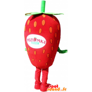 La mascota de la fresa gigante, traje de fresa - MASFR032582 - Mascota de la fruta