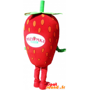 Mascot reuzeaardbei, aardbei kostuum - MASFR032582 - fruit Mascot