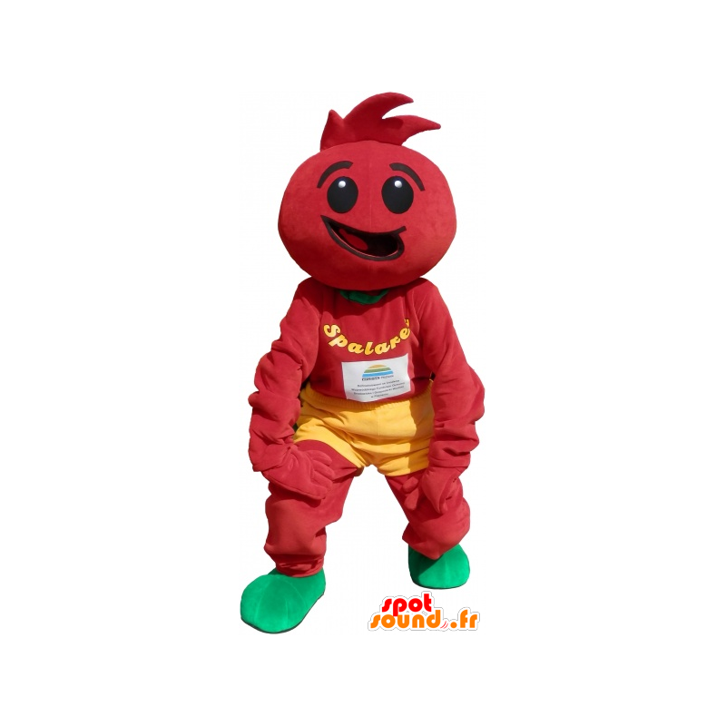 Tomat kostyme. Tomato Dressing - MASFR032613 - frukt Mascot