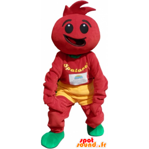 Tomaat kostuum. tomatendressing - MASFR032613 - fruit Mascot