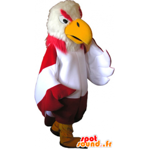 Mascot abutre colorido com pés amarelos - MASFR032644 - aves mascote