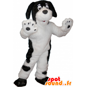 Blanco mascota del perro con los puntos negros - MASFR032658 - Mascotas perro