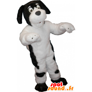 Blanco mascota del perro con los puntos negros - MASFR032658 - Mascotas perro