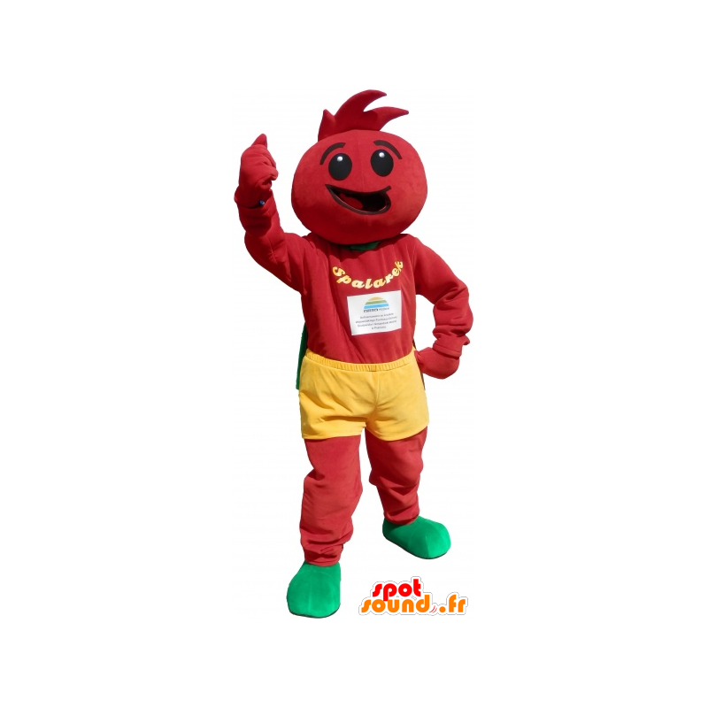 Costume de tomate. Mascotte de tomate - MASFR032668 - Mascotte de fruits
