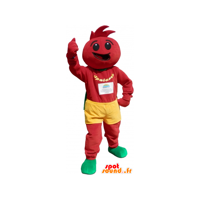 Tomaatti puku. tomaatti Mascot - MASFR032668 - hedelmä Mascot