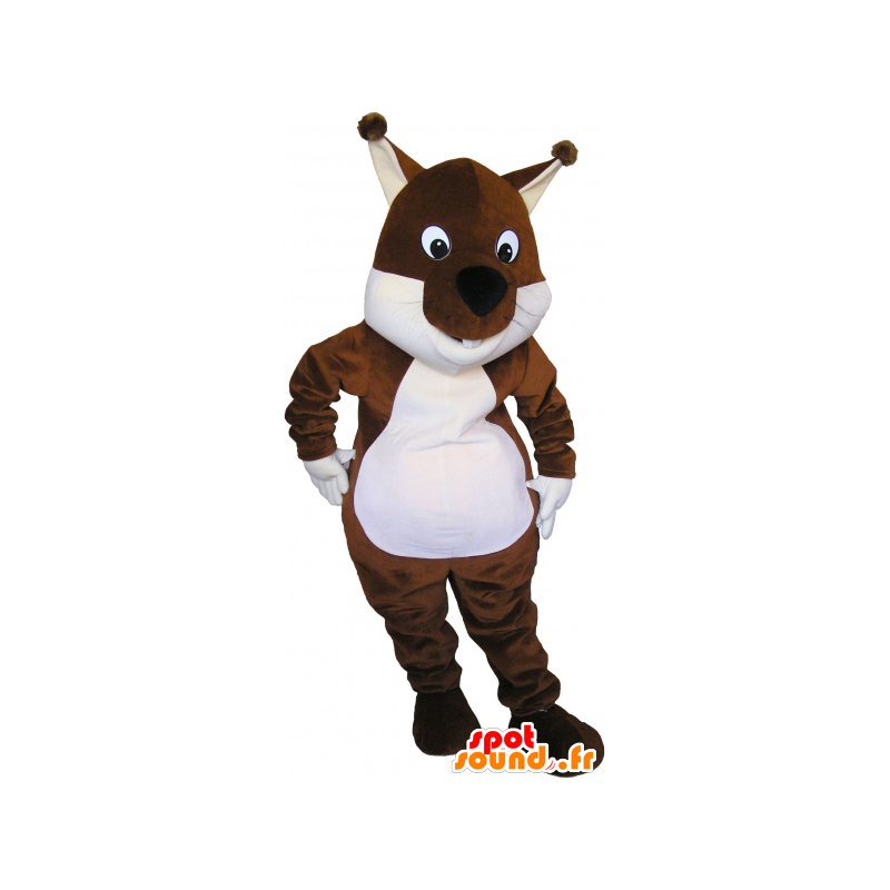 Mascotte d'écureuil marron et blanc, de Tic ou Tac - MASFR032679 - Mascottes Ecureuil