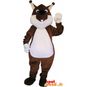 Mascot brown and white squirrel, Tic Tac or - MASFR032679 - Mascots squirrel