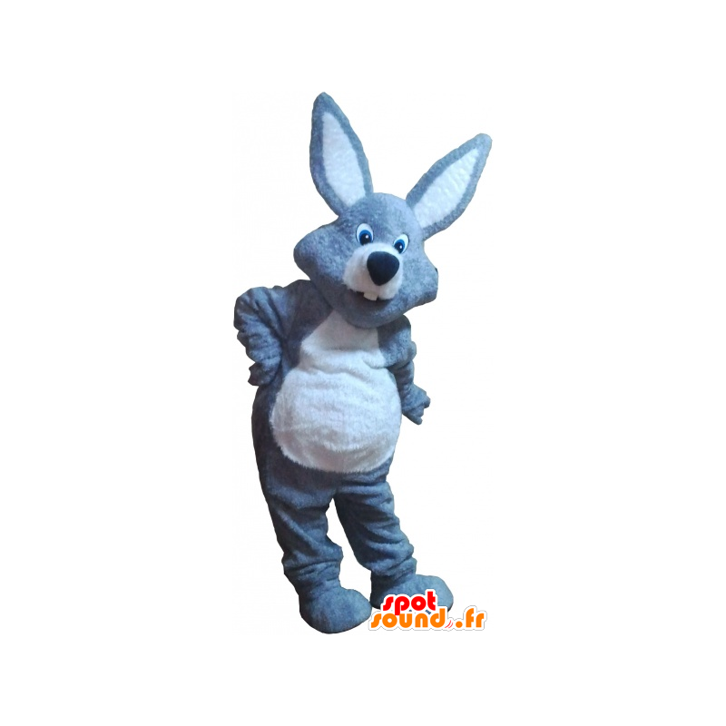 Gray rabbit mascot and white giant - MASFR032680 - Rabbit mascot