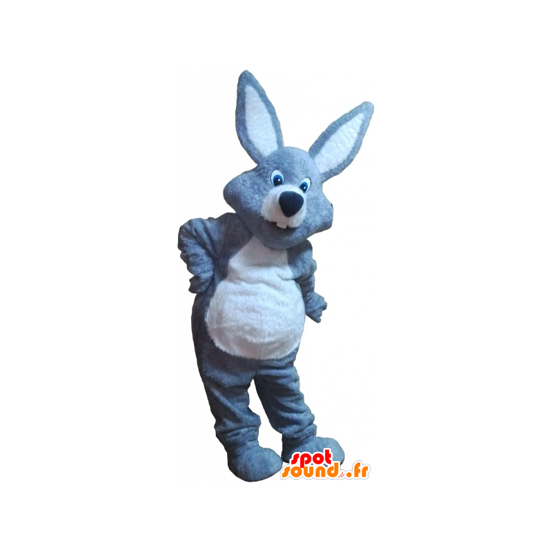 Mascota del conejo gris y blanco gigante - MASFR032680 - Mascota de conejo