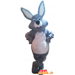 Gray rabbit mascot and white giant - MASFR032680 - Rabbit mascot