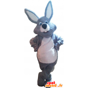 Coniglio grigio mascotte e gigante bianco - MASFR032680 - Mascotte coniglio