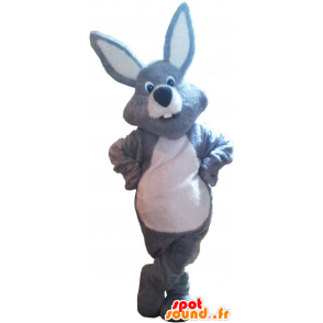 Mascota del conejo gris y blanco gigante - MASFR032680 - Mascota de conejo