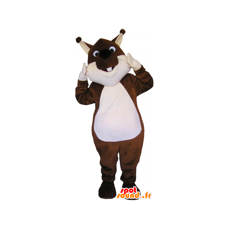 Mascotte d'écureuil marron et blanc - MASFR032730 - Mascottes Ecureuil